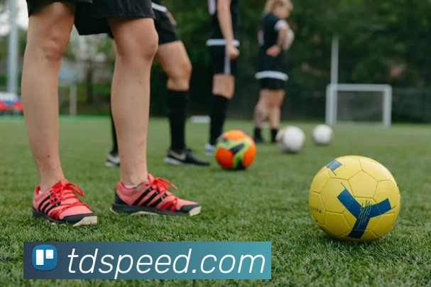 腾达娱乐官网平台生态图